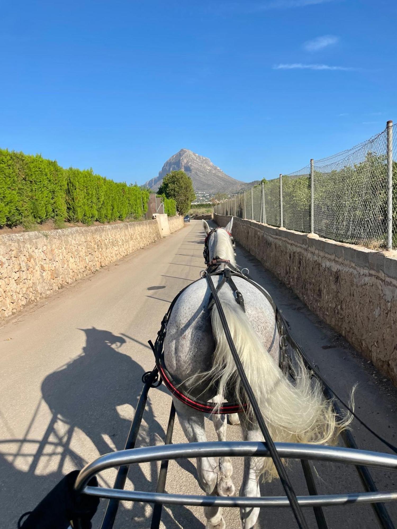 Luxury Spa Living Jávea Kültér fotó